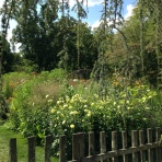 Another framed view of the cutting garden.